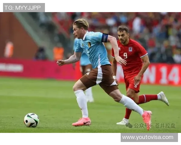 爱尔兰足球明星的辉煌历程与成就探秘