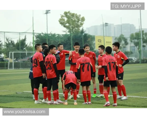 从小球场到世界舞台揭秘足球明星的成长之路与奋斗故事